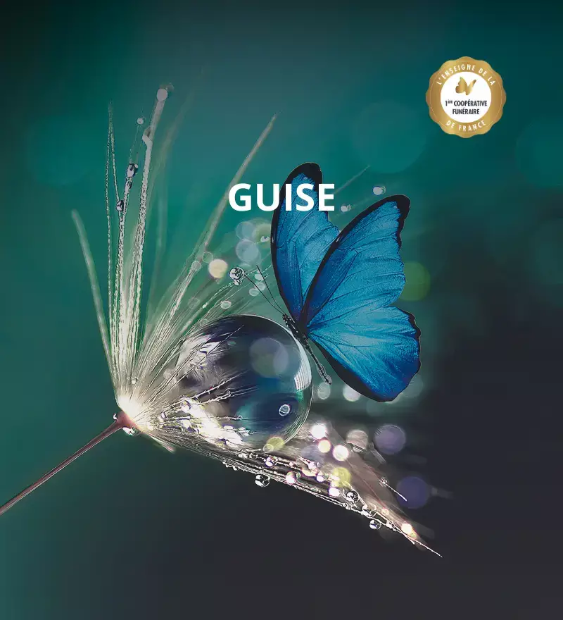 Une équipe à votre écoute